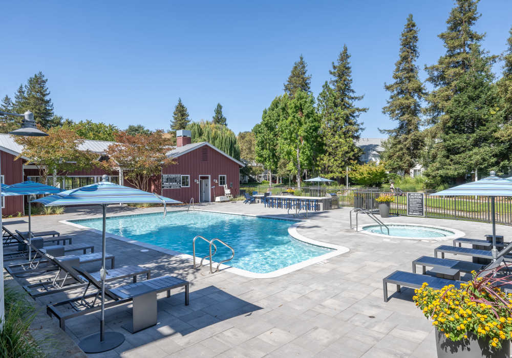 Swimming pool with lounge beds at Cotton Wood Apartments in Dublin, California