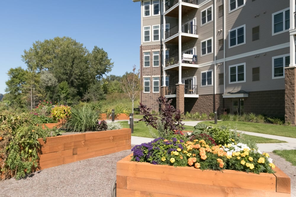 Lush garden at Applewood Pointe of Corcoran in Corcoran, Minnesota.