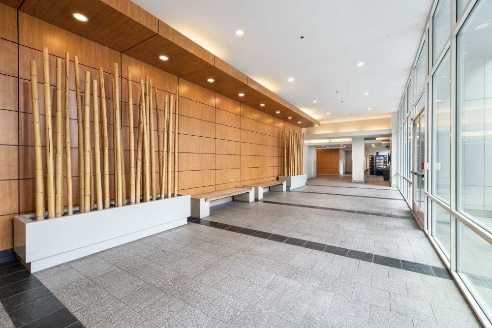 Luxury bamboo plants against a wooden wall at Capri Apartments in Marina Del Rey, California