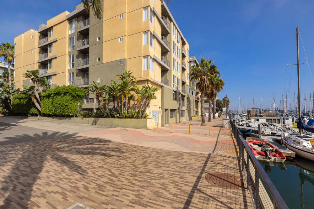 Luxury palm trees line the walkway by the marina at Capri Apartments in Marina Del Rey, California