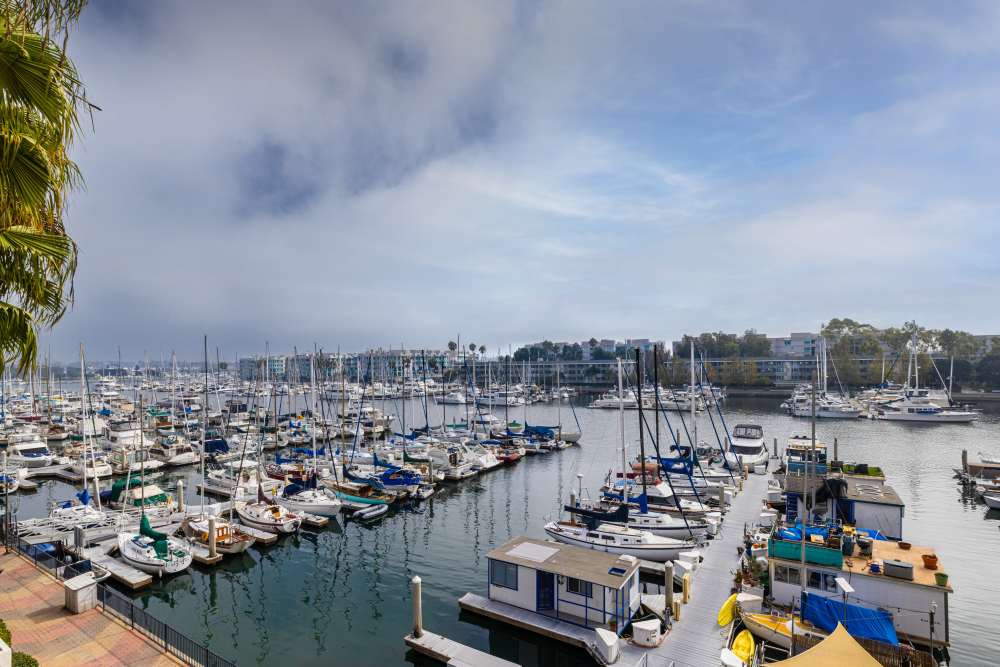 Luxury boats docked in a marina with palm trees at Capri Apartments in Marina Del Rey, California