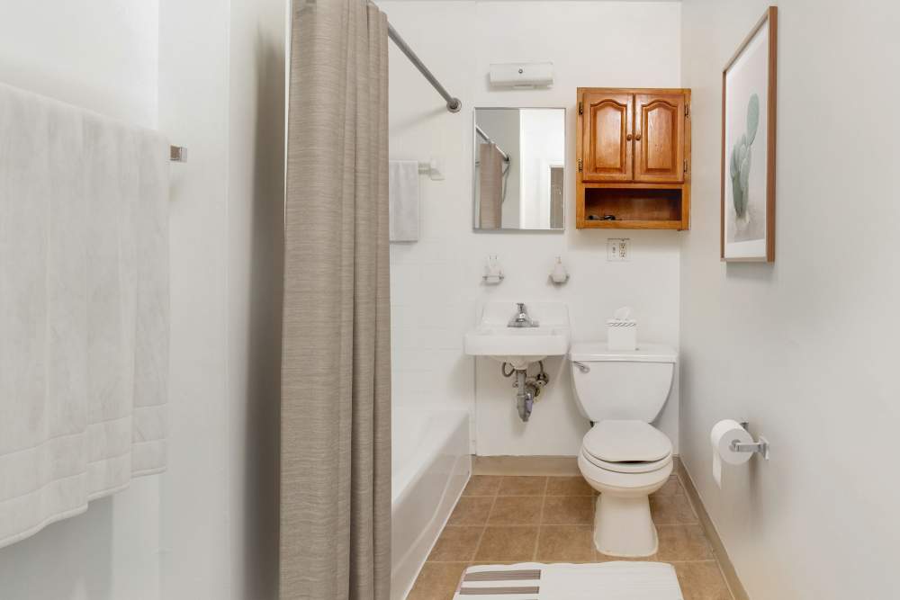 Garden style bathroom with shower, toilet, and sink at 15-25 Hemenway Apartments in Boston, Massachusetts