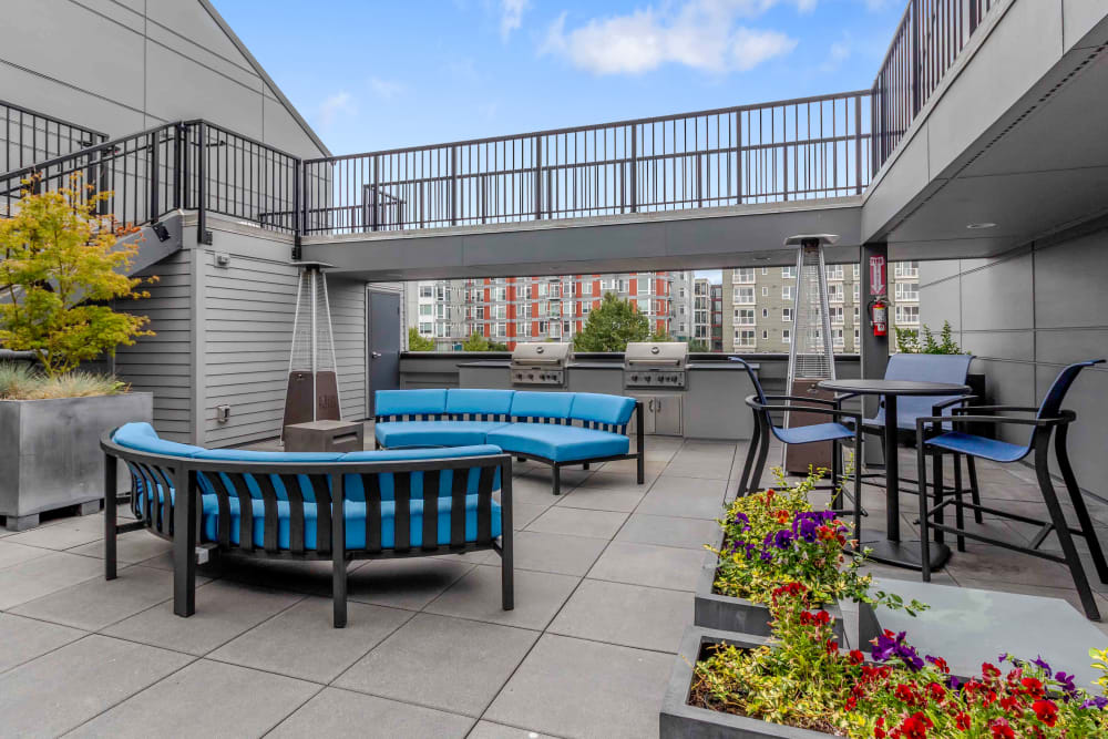 The community courtyard and barbecue stations at Elan 41 Apartments in Seattle, Washington