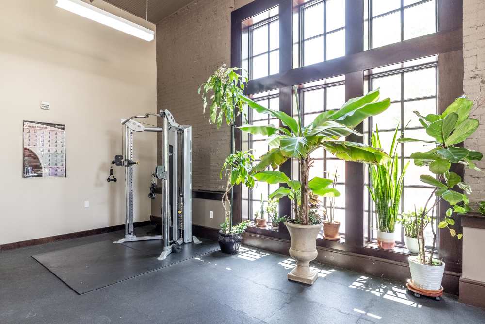 Gym equipment and large plants by windows at Rumely Lofts in Des Moines, Iowa
