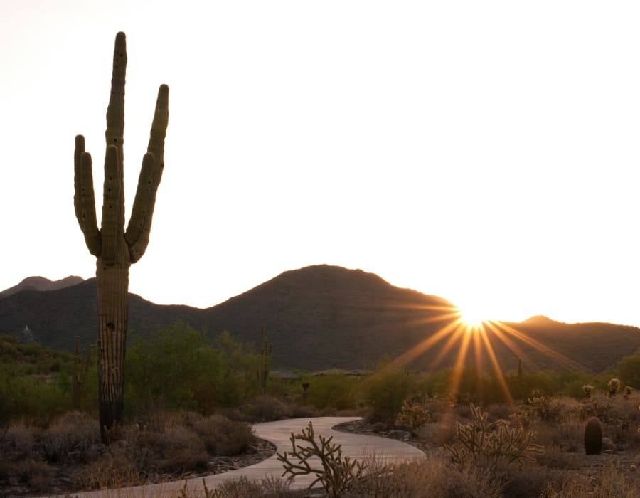 Sun rising over a desert landscape at The District at Scottsdale in Scottsdale, Arizona
