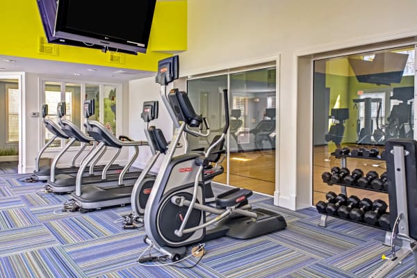 Fitness center at Provenza at Southwood in Tallahassee, Florida