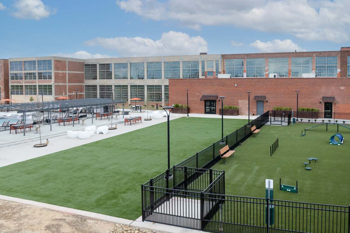 Great view of dog park at Mojud Lofts in Greensboro, North Carolina