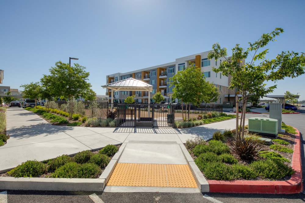 Community exterior view at Zeta Luxury Apartments in Sacramento, California