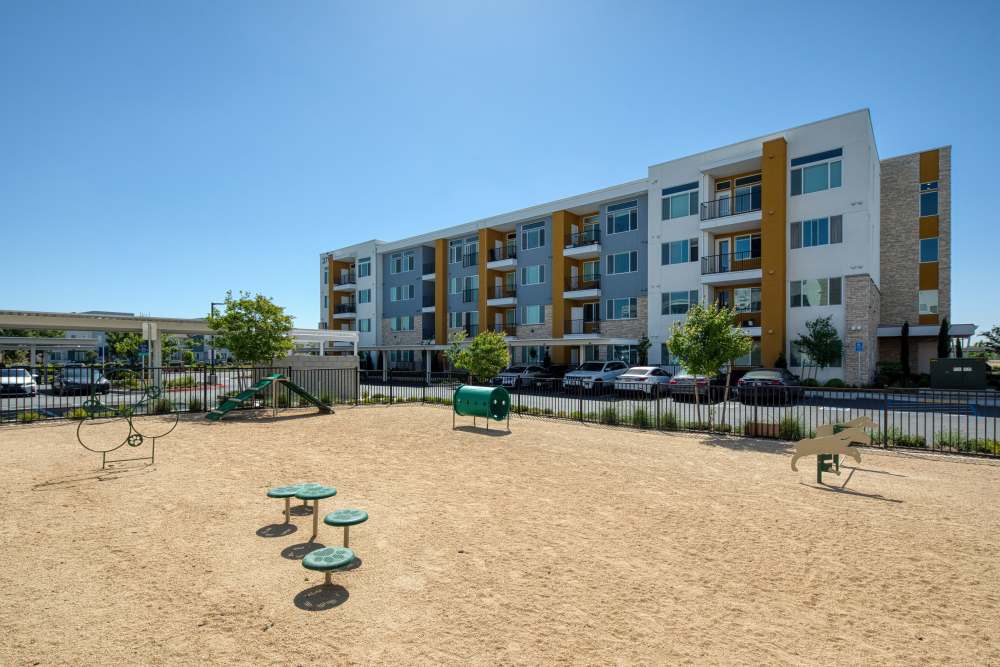 Community pet park with agility course at Zeta Luxury Apartments in Sacramento, California