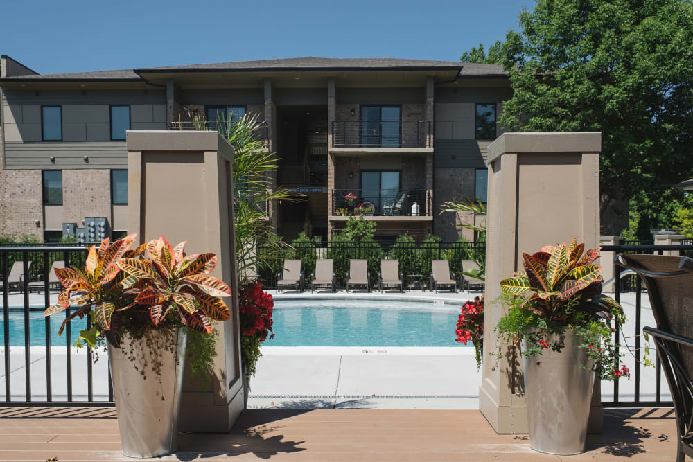 Flowers outside the gate to the pool at Lakewood Park Apartments in Lexington, Kentucky