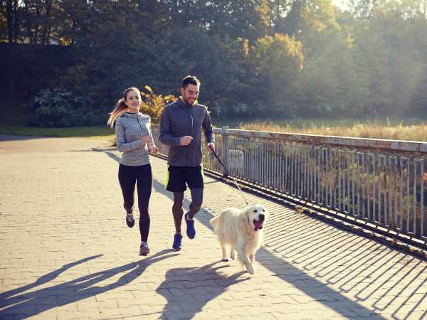 Residents with their dog near Brookstone Homes