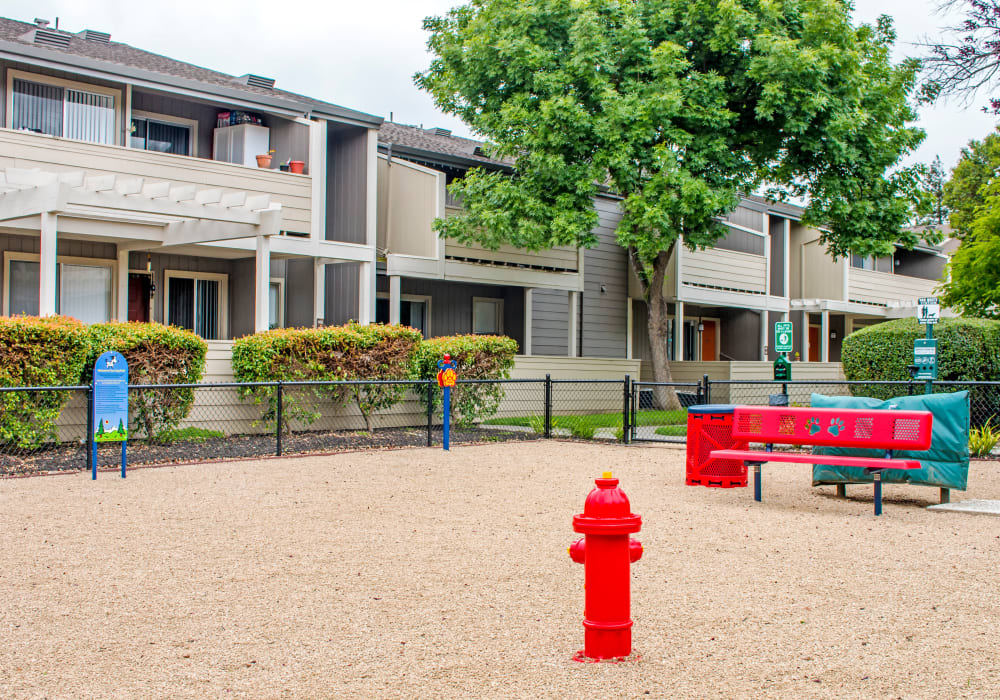 Onsite bark park at Sofi Dublin in Dublin, California