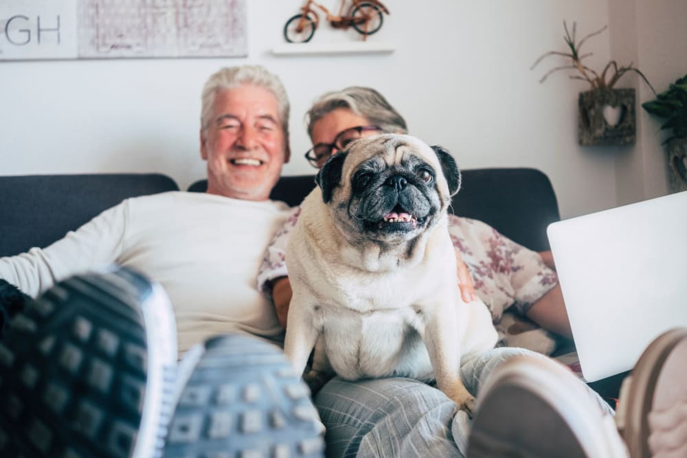 Residents with their dog at The Pinnacle in Plymouth Meeting, Pennsylvania