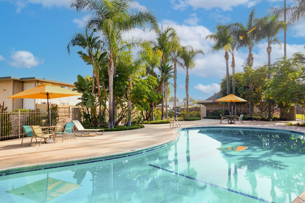 Pool at Mango Tree in Santa Ana, California