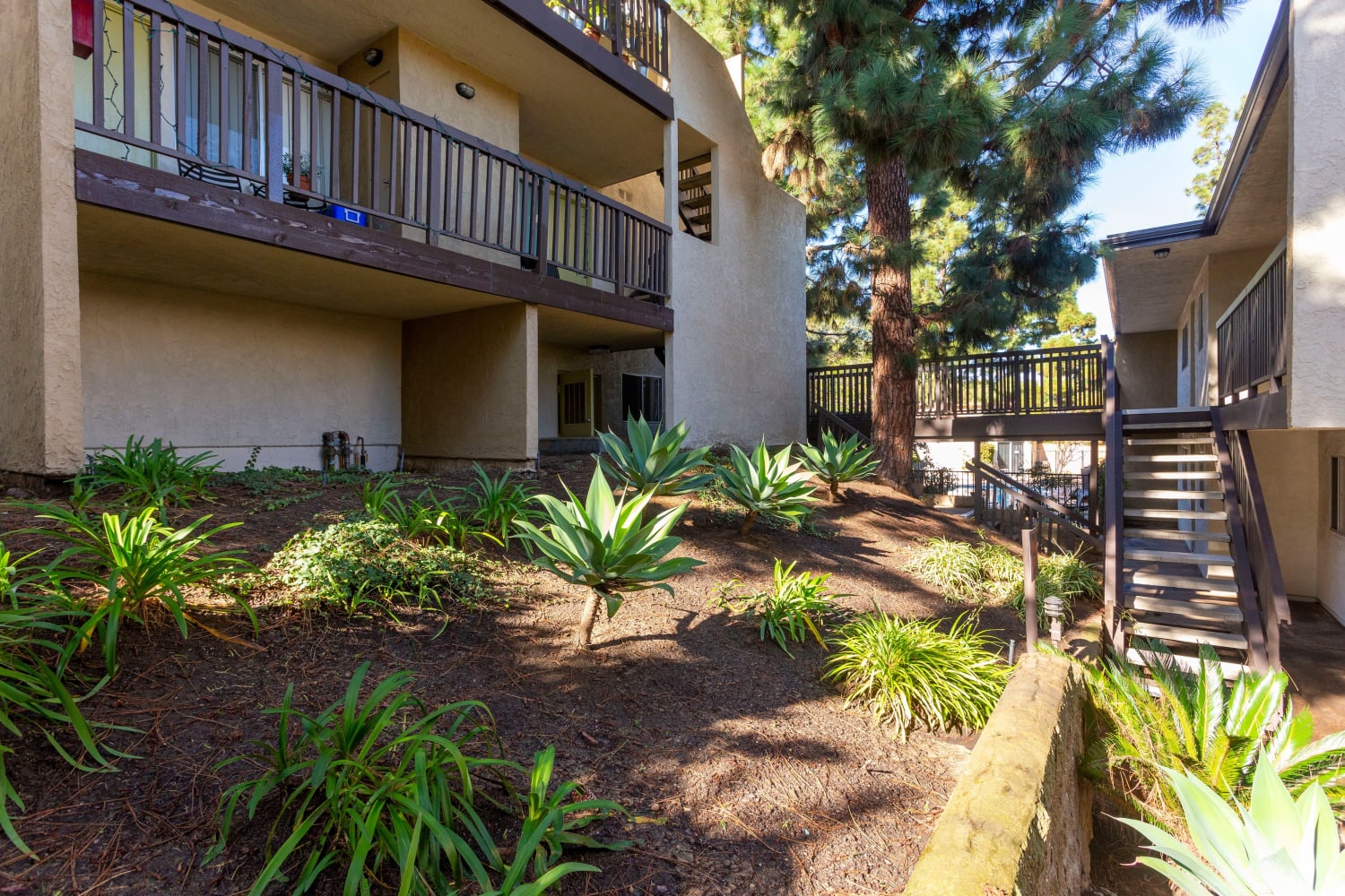 Park Place Apartments in Del Mar, California