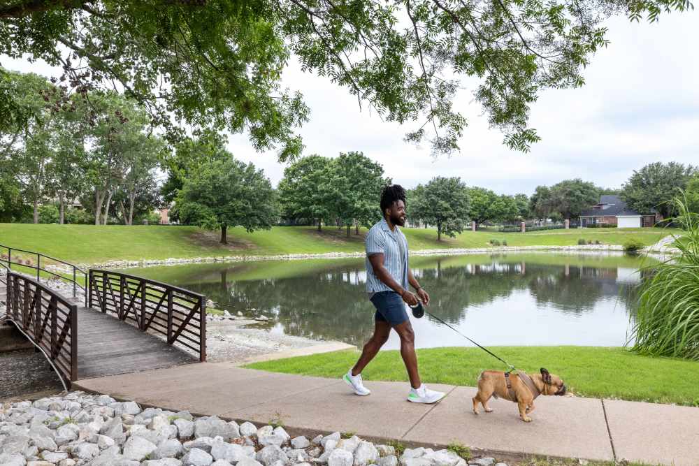 Person walking dog on grounds at Breckinridge Point Apartments in Richardson, TX