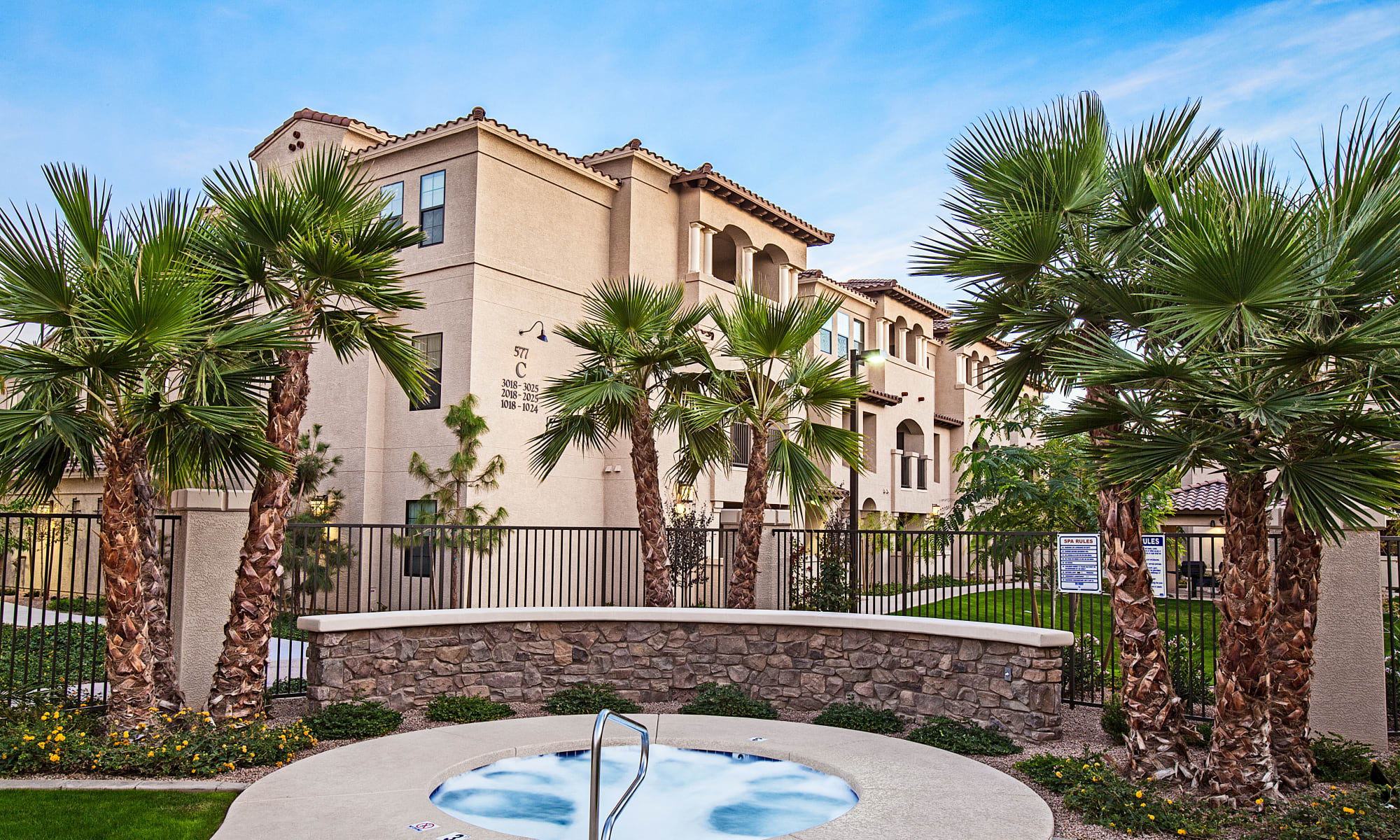 Suggestions to help improve San Marquis, with Palm Trees in Tempe, Arizona