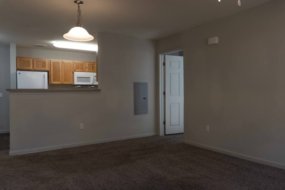 Apartment with carpet flooring and ceiling fans at Redland Creek in Lawrenceville, Georgia
