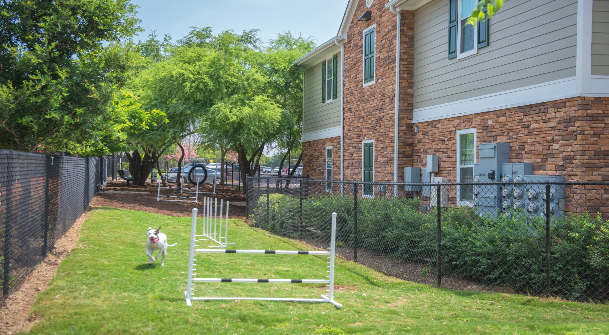 Onsite dog park at The Lodge at Shavano Park in San Antonio, Texas