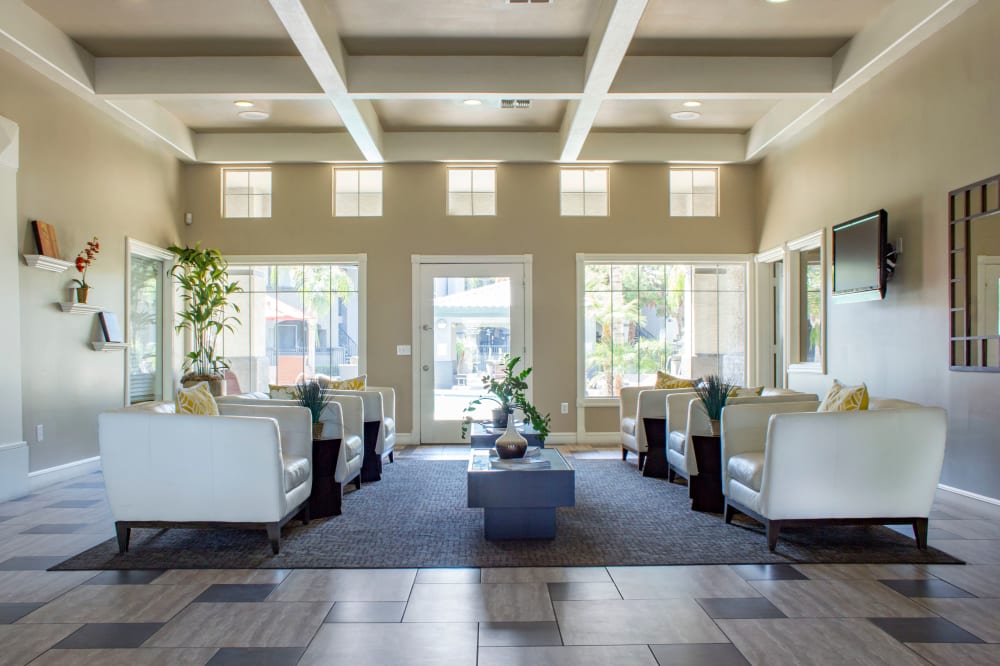 Luxurious leasing office interior at Sierra Canyon in Glendale, Arizona