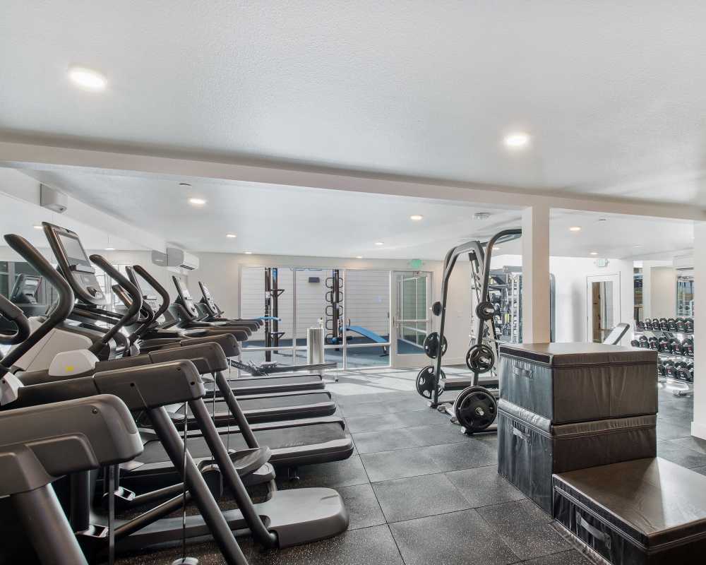Well-equipped fitness center at 707 Leahy in Redwood City, California