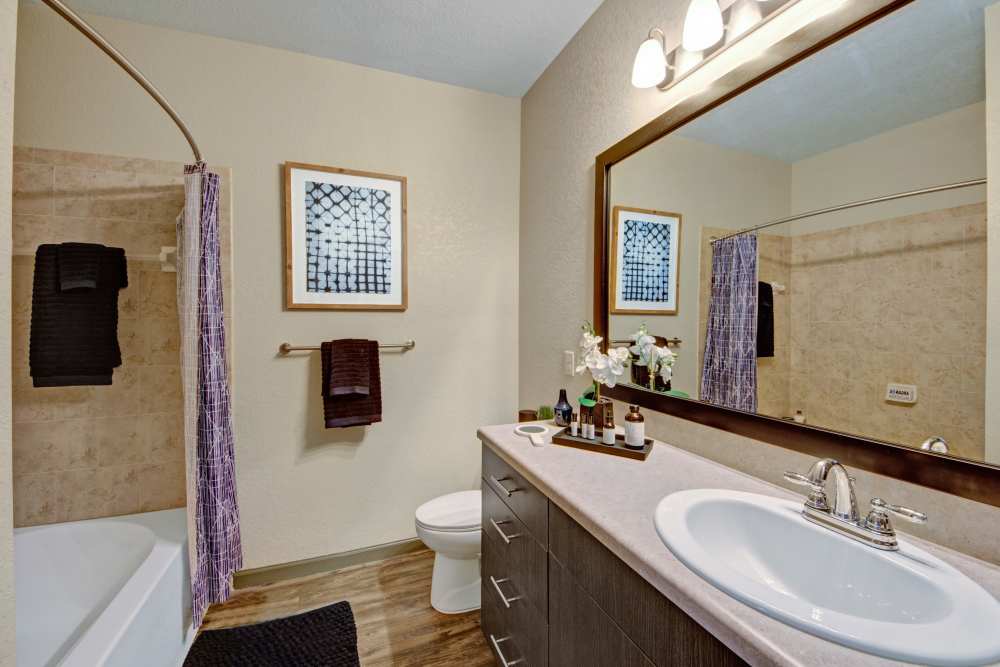 Bright bathroom with vanity light, mirror, sink, commode and bathtub at The Courtney at Lake Shadow in Orlando, Florida