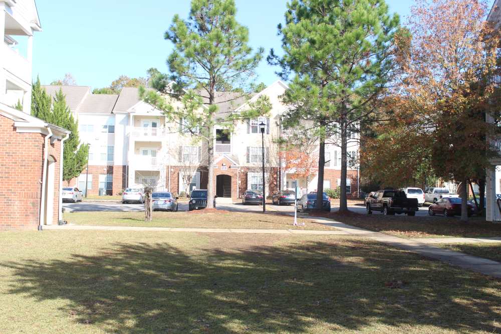 Lawn area at Lexington Park in Ocean Springs,Mississippi
