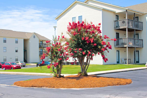 Enjoy well maintained grounds at Falcon Village Apartments in Fayetteville, North Carolina
