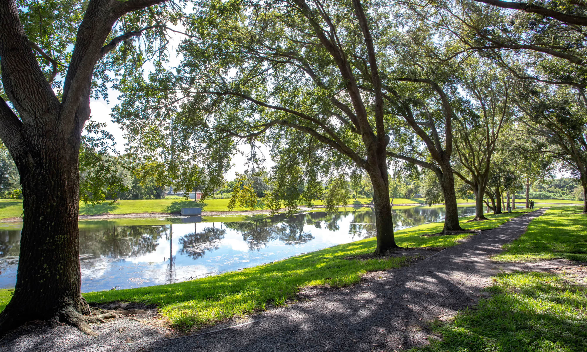 Live at IMT Newport Colony in Casselberry, Florida