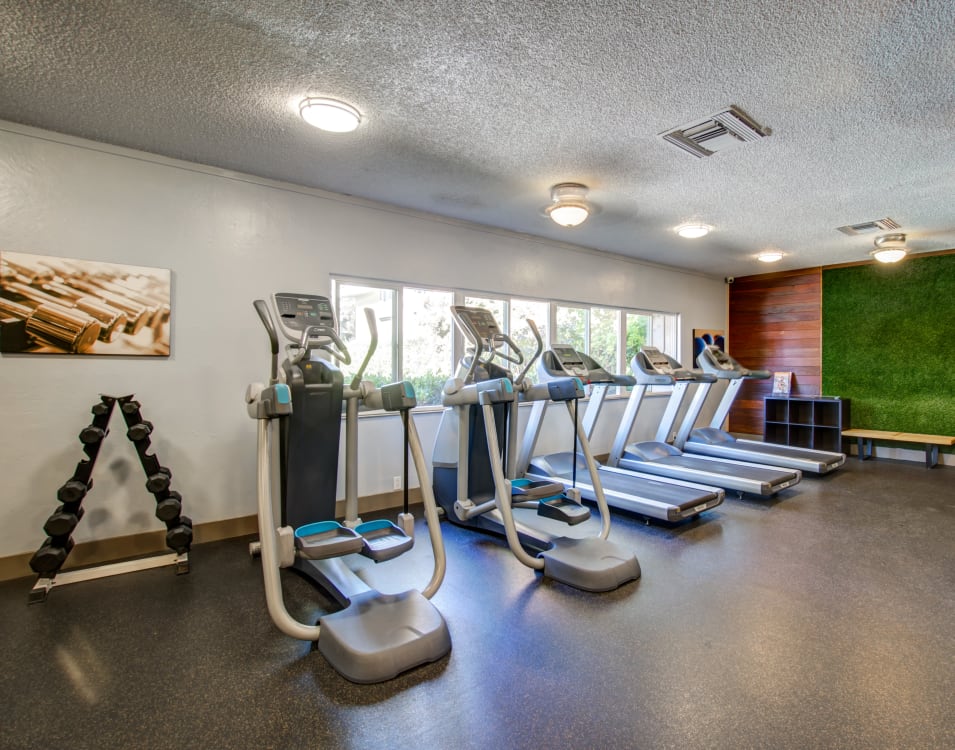 Weights and cardio machines in the fitness center at Waterstone Fremont in Fremont, California