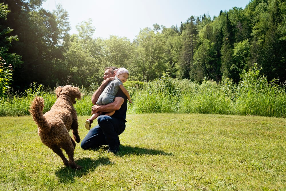 A dad, daughter and their dog playing outside at Royal Ridge Apartments in Midvale, Utah