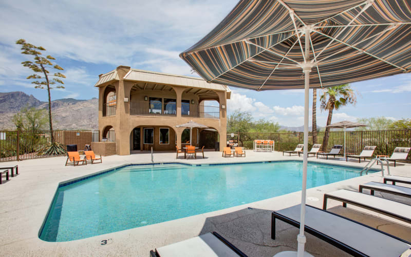 Swimming pool at Elevation Apartments in Tucson, Arizona