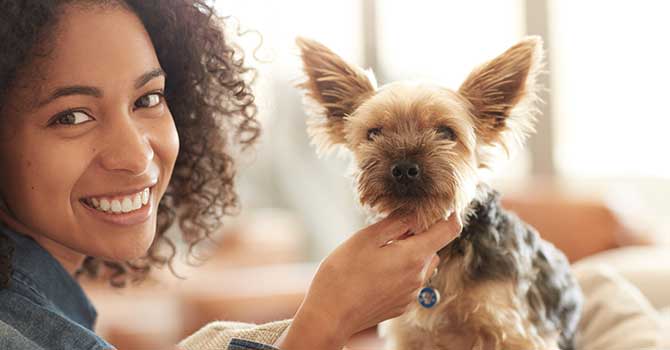 Vela on the Park welcomes both dogs and cats
