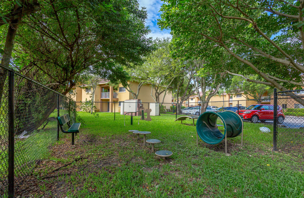 Happy French bulldog on green grass at Fairway View Apartments in Hialeah, Florida