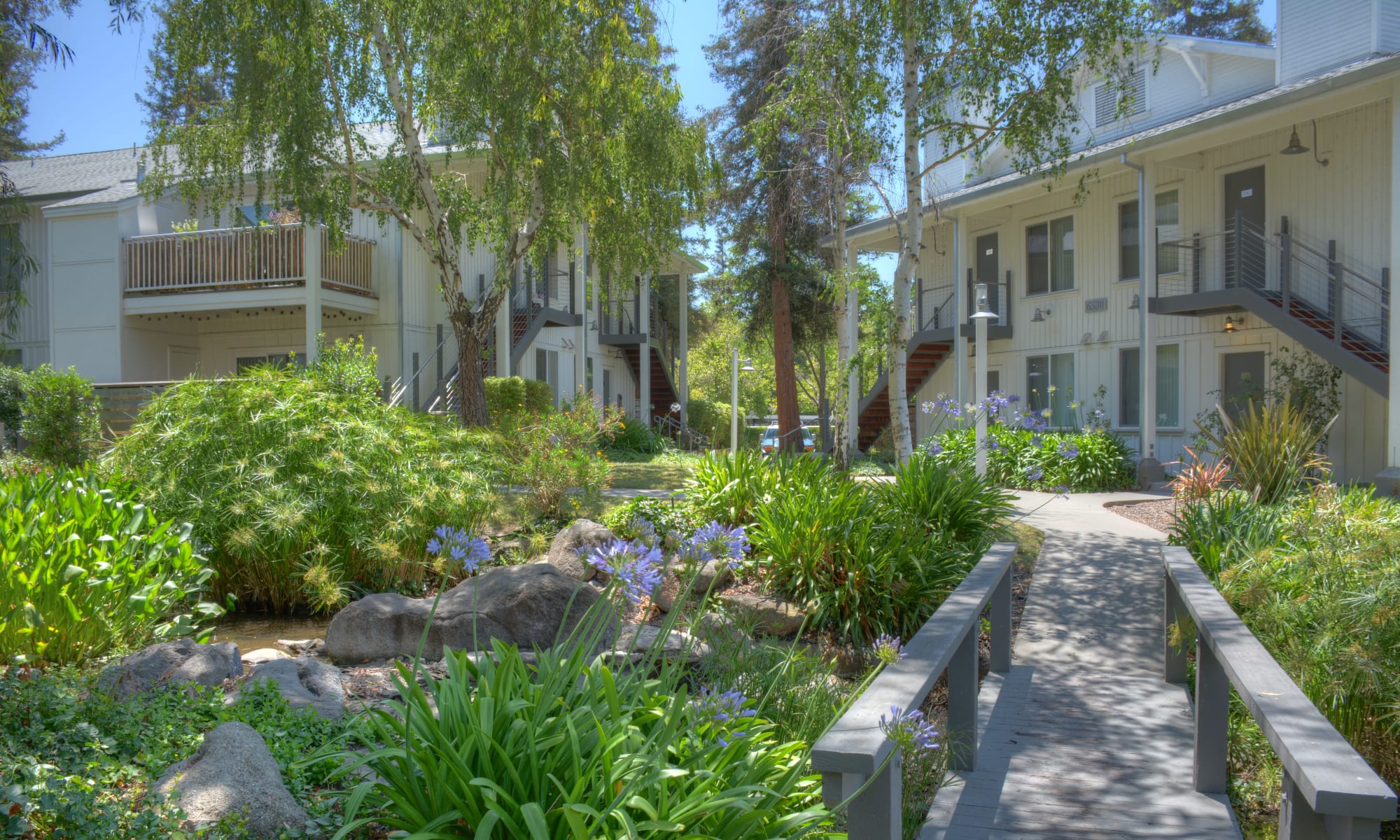 Cotton Wood Apartments in Dublin, California