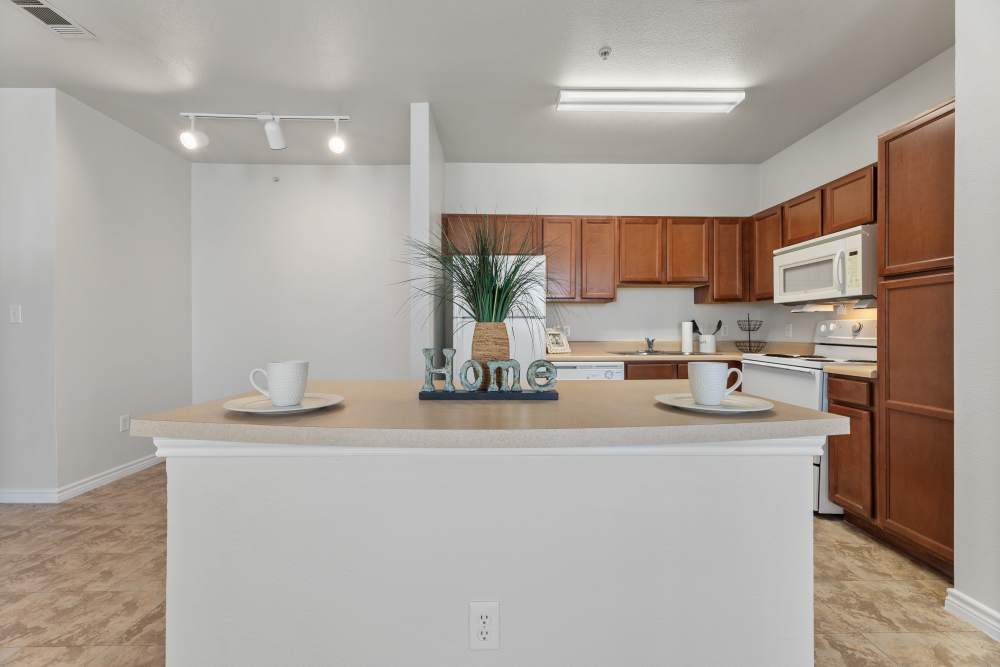  kitchen island at Costa Ibiza in Houston, Texas