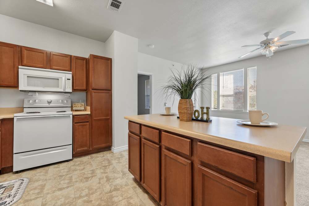 kitchen with dishwasher at Costa Ibiza in Houston, Texas
