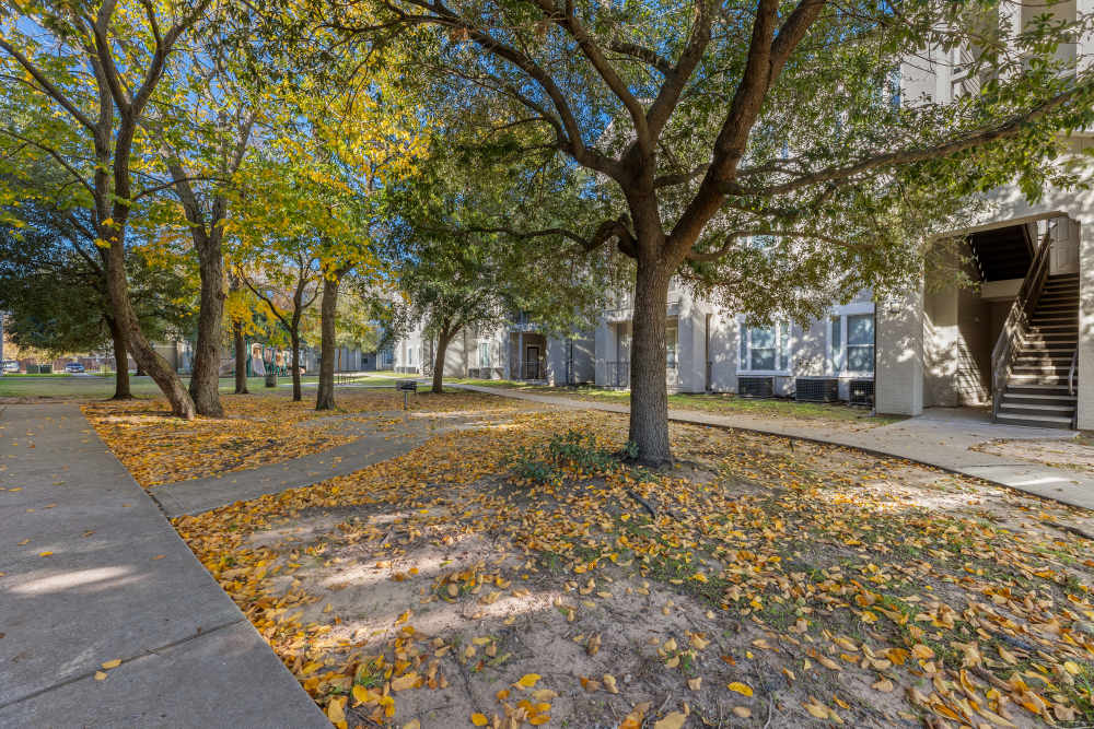 A view of playground near the trees at Costa Ibiza in Houston, Texas