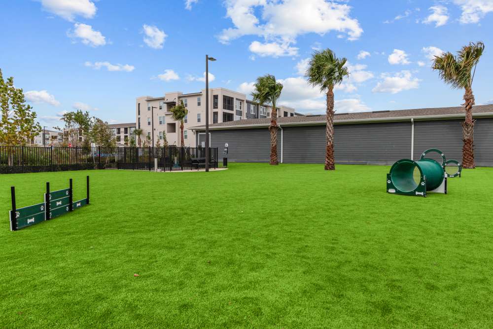 Pet-friendly at Azora at Cypress Ranch in Lutz, Florida
