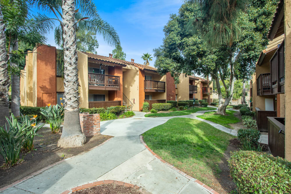 Community courtyard area at Shadow Ridge Apartments in Oceanside, California