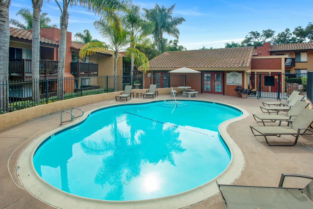 Beautiful resort-style swimming pool with lounge chairs and palm trees at Shadow Ridge Apartments in Oceanside, California