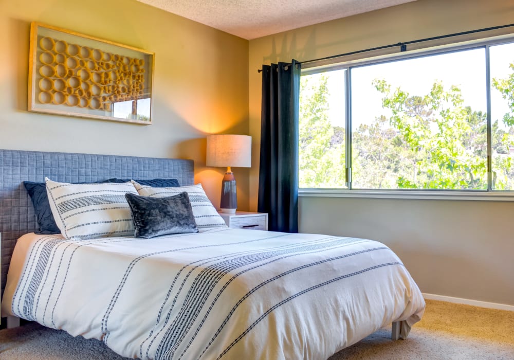 Bedroom with large, draped bay windows in a model home at Sofi Belmont Hills in Belmont, California