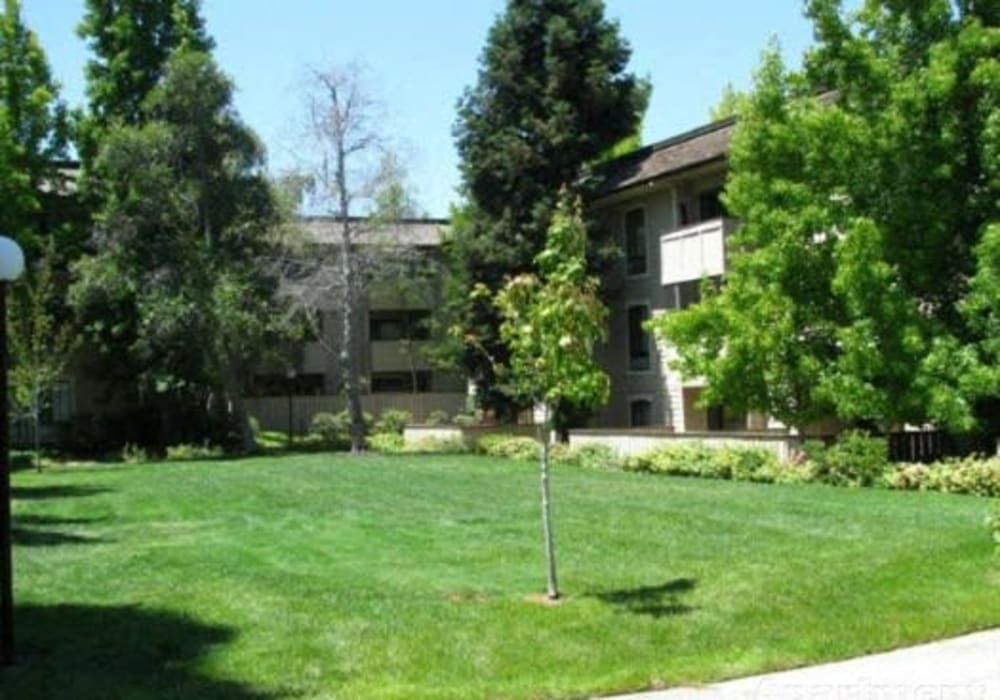 Green space to walk your dog at Muirwood Gardens in Martinez, California