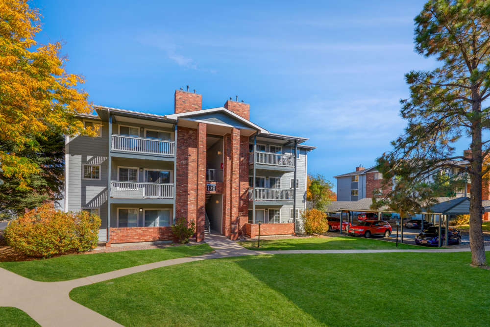 Lush green walkway in the community at Arapahoe Club Apartments in Denver, Colorado