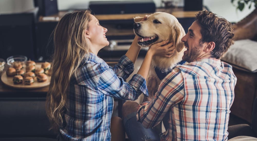 Residents playing with their dog at Overland Park in Pickerington, Ohio