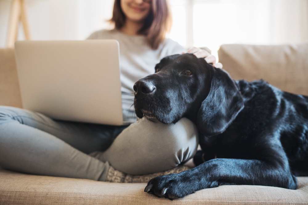 A cute duo of a girl and black lab at Independence in Dixon in Dixon,California
