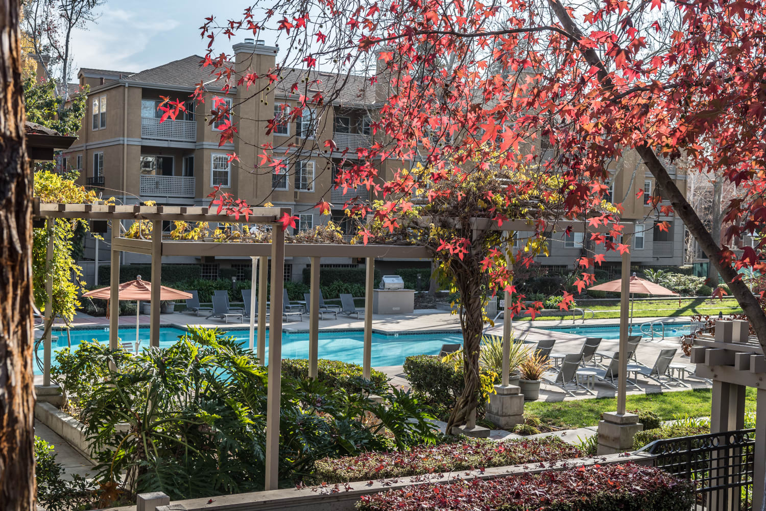Enjoy a swimming pool at Bella Vista Apartments in Santa Clara, California