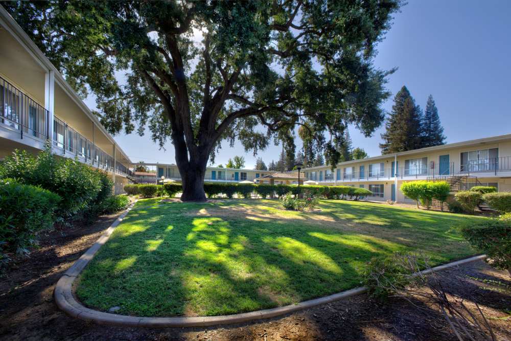 An apartments surrounded by greenery at Fair Oaks Apartments in Sacramento,California
