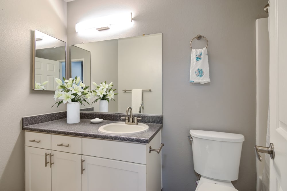 Bathroom with white cabinets and counter space at Hillside Terrace Apartments in Lemon Grove, California