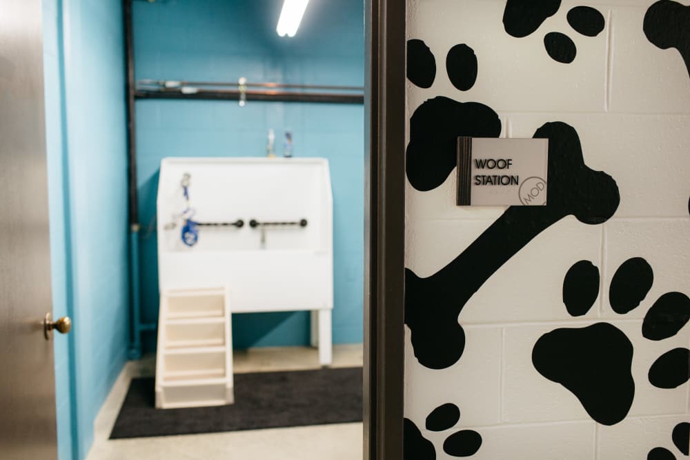 Dog washing station at MOD Apartments in Seattle, Washington